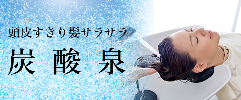 炭酸泉 Hairsalon Link 炭酸泉 Hairsalon Link